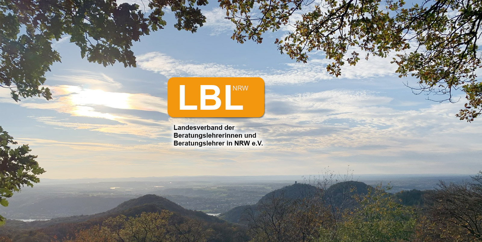 Beratungslehrer-Slider-Start